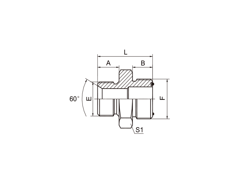 HYDRAULIC FITTING BSP 60°  MALE SEAT/ORFS MALE 1BF
