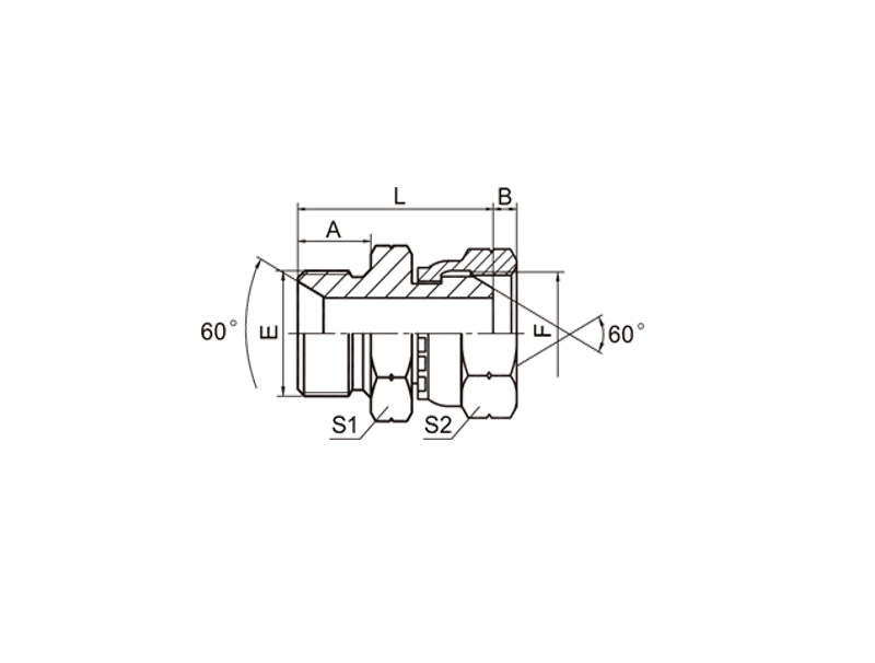 HYDRAULIC 2B BSP MALE DOUBLE USE FOR 60° CONE SEAT OR BONDED SEAL / BSP FEMALE 60° CONE