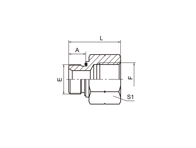 HYDRAULIC 5B-WD BSP MALE CAPTIVE SEAL / BSP FEMALE ISO 1179